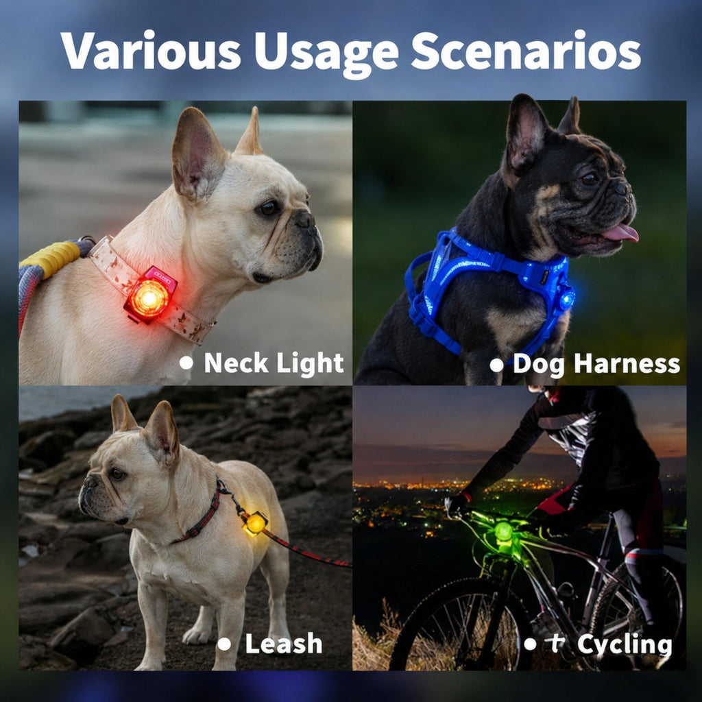 Frenchie-Rechargeable-LED-Walking-Collar-Light.jpg