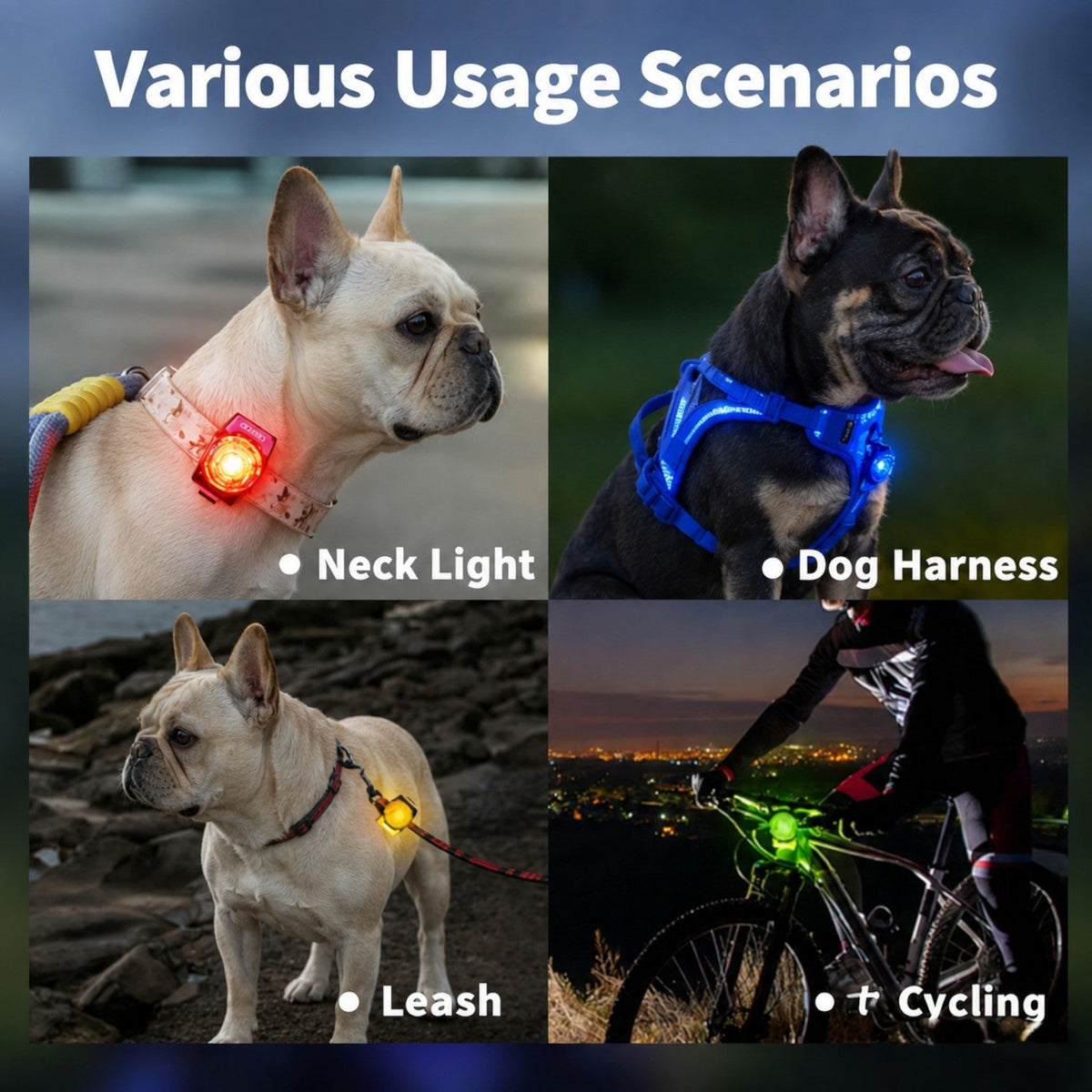 Frenchie-Rechargeable-LED-Walking-Collar-Light.jpg