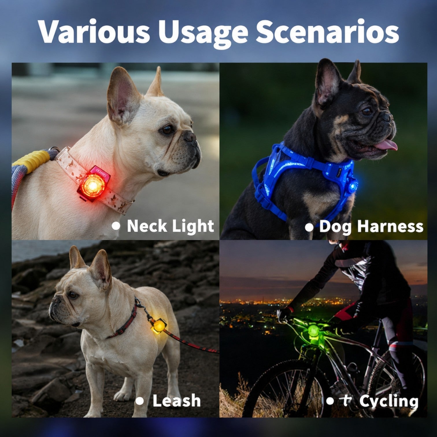 Frenchie-Rechargeable-LED-Walking-Collar-Light.jpg