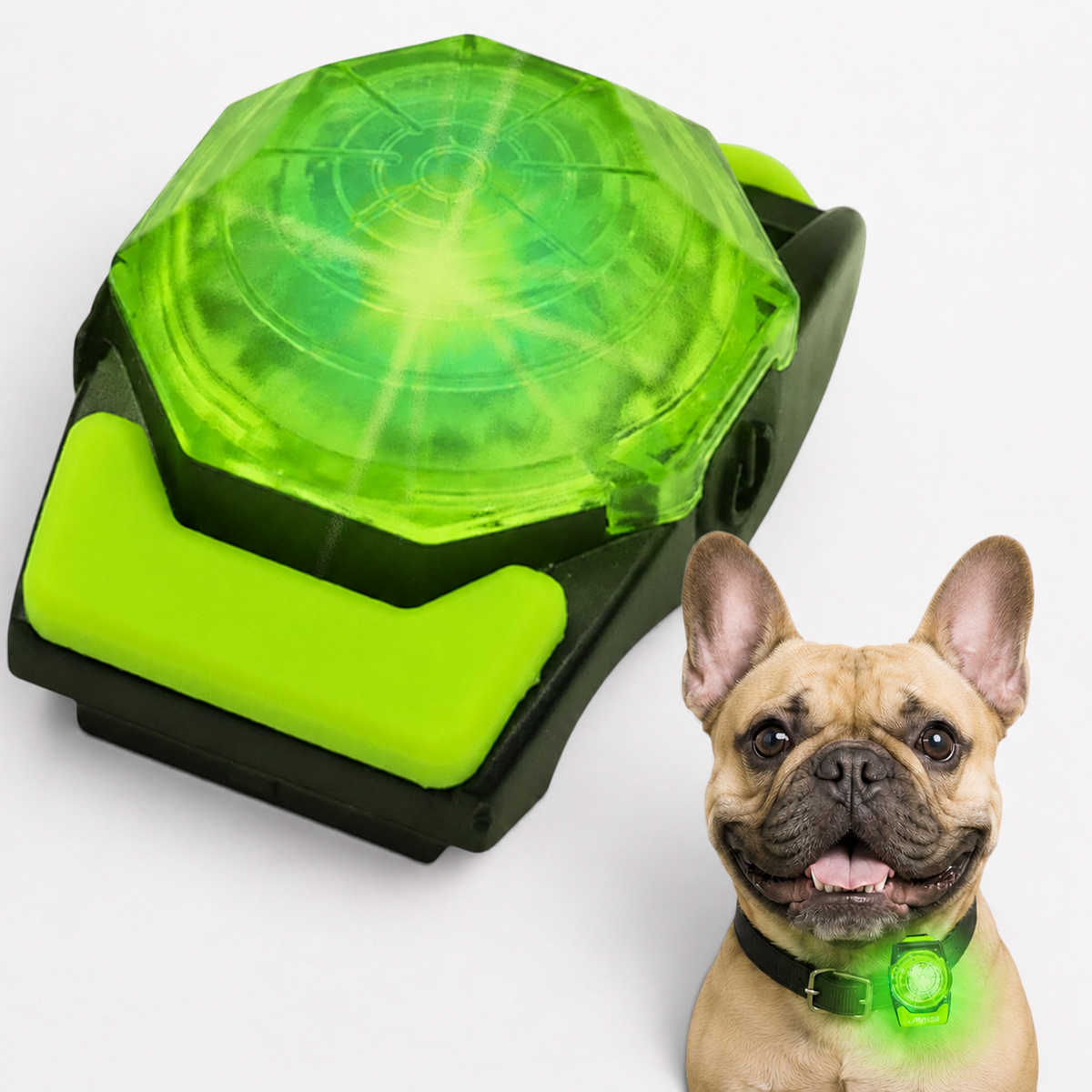 Frenchie-Rechargeable-LED-Walking-Collar-Light.jpg