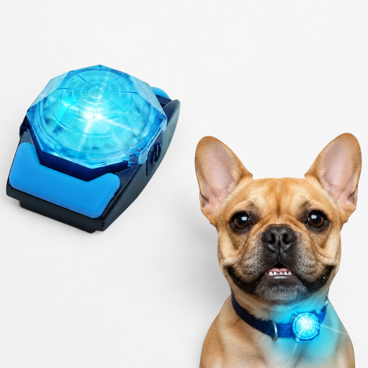 Frenchie-Rechargeable-LED-Walking-Collar-Light.jpg