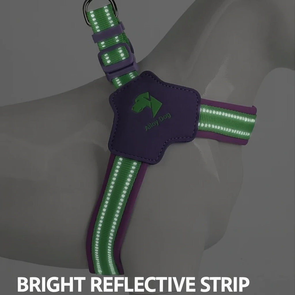 Frenchie-Reflective-Harness-Leash-Set.jpg
