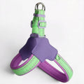 Frenchie-Reflective-Harness-Leash-Set.jpg