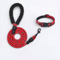 Frenchie-Reflective-Nylon-Collar-Leash-Set.jpg