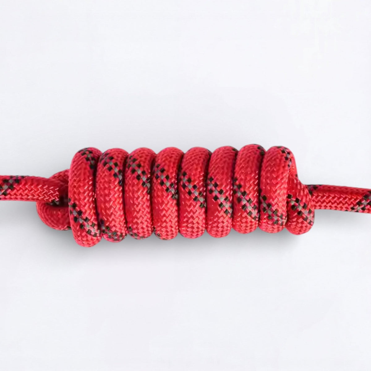 Frenchie-Reflective-Nylon-Collar-Leash-Set.jpg