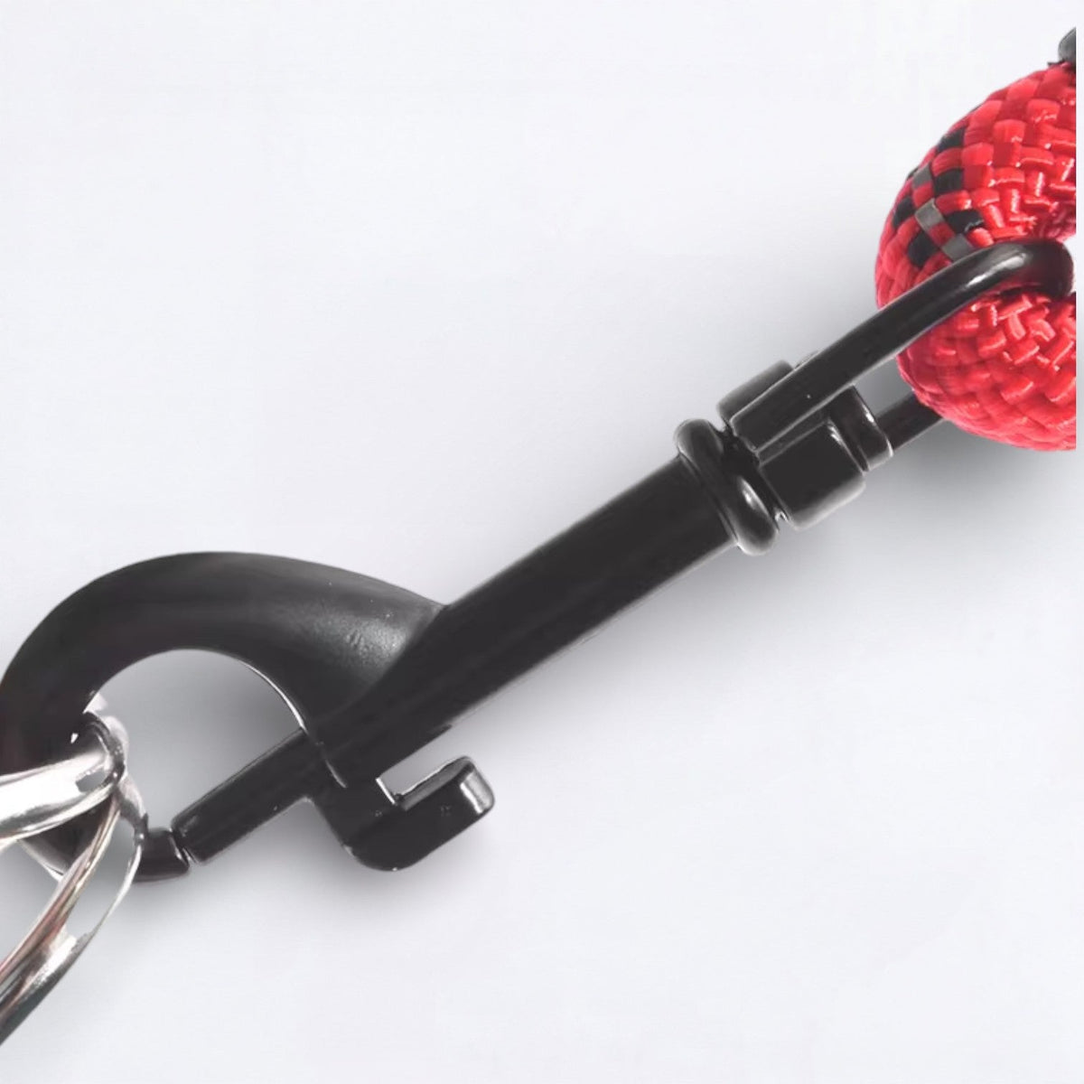 Frenchie-Reflective-Nylon-Collar-Leash-Set.jpg