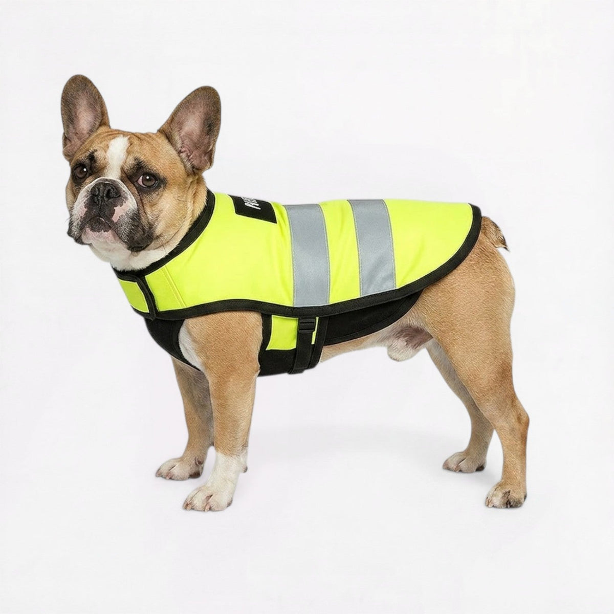 Frenchie-Reflective-Outdoor-Vest.jpg