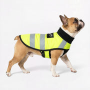 Frenchie-Reflective-Outdoor-Vest.jpg