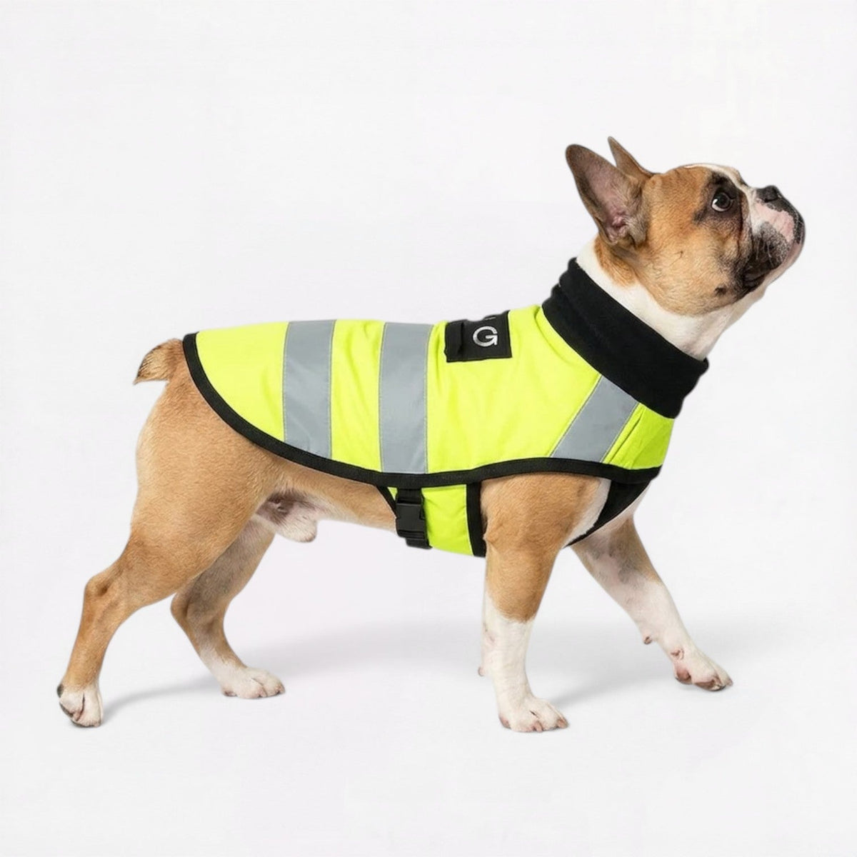 Frenchie-Reflective-Outdoor-Vest.jpg