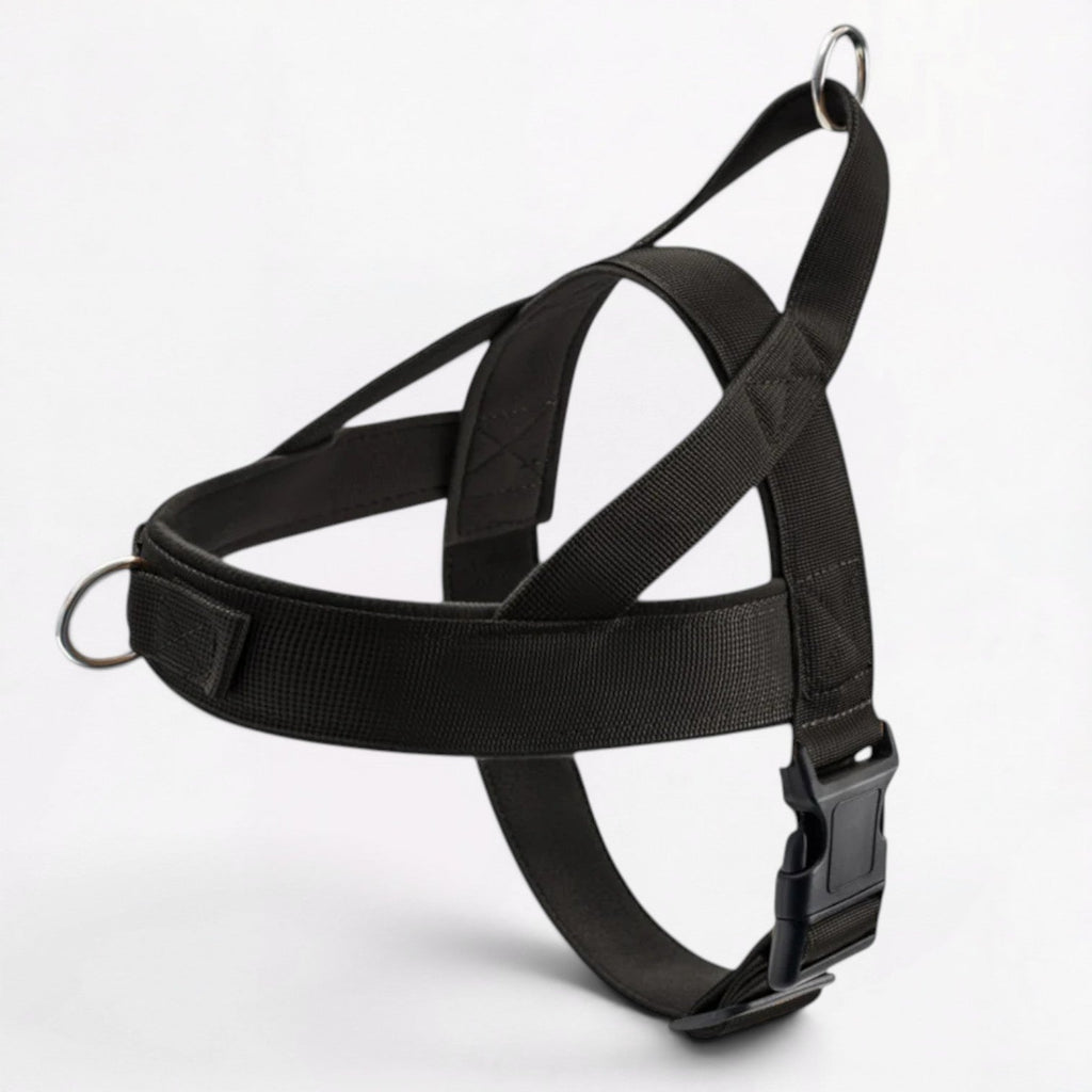 Frenchie-Reflective-Padded-Harness-Leash-Set.jpg