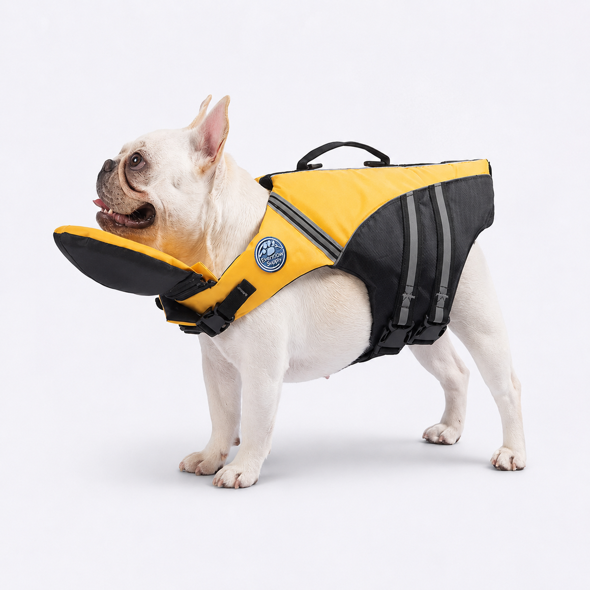Frenchie-Reflective-Shark-Life-Jacket.jpg