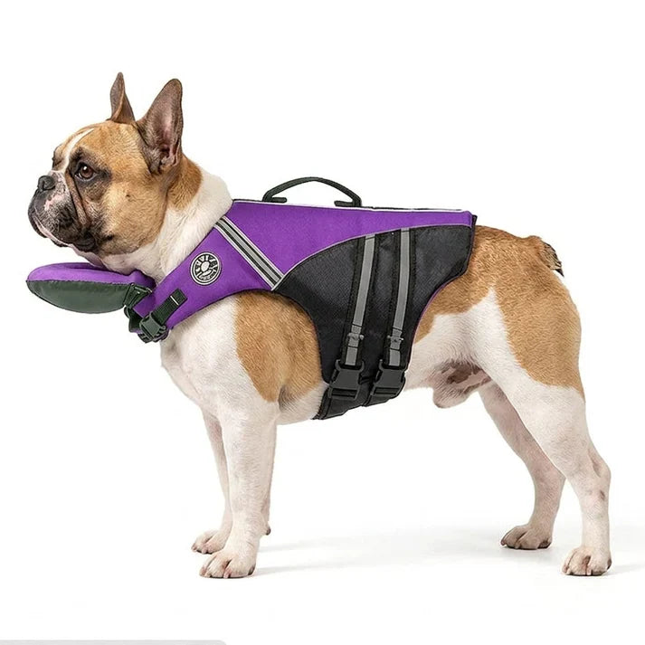 Frenchie-Reflective-Shark-Life-Jacket.jpg