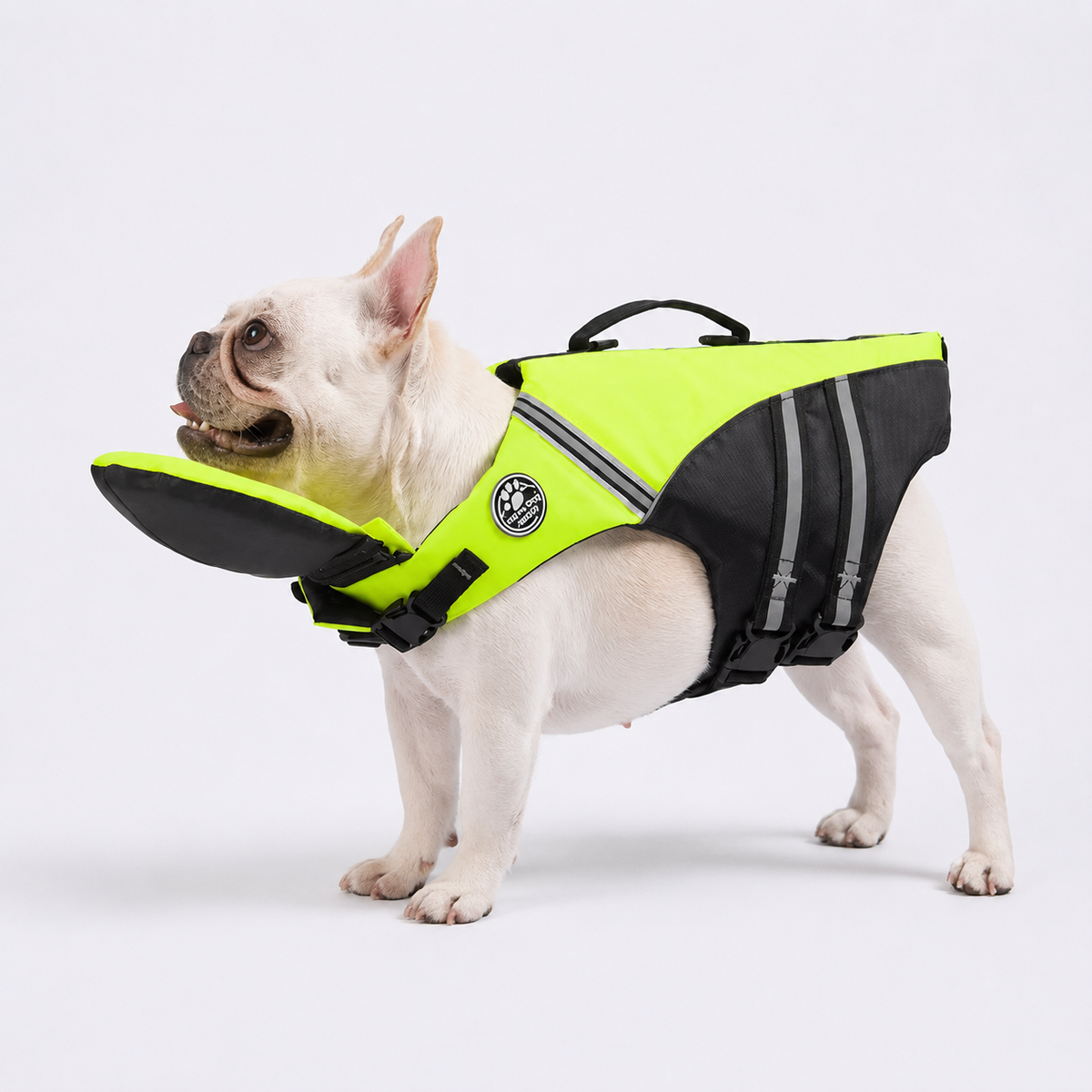 Frenchie-Reflective-Shark-Life-Jacket.jpg