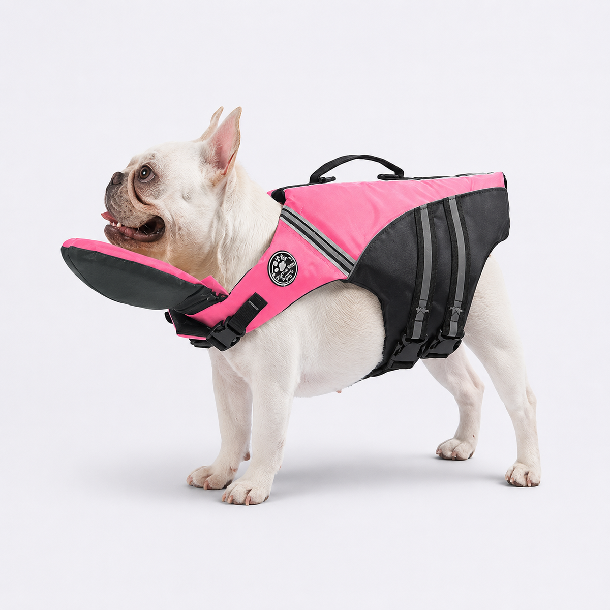 Frenchie-Reflective-Shark-Life-Jacket.jpg