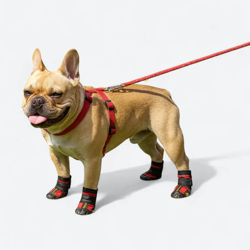 Frenchie-Reflective-Waterproof-Boots.jpg