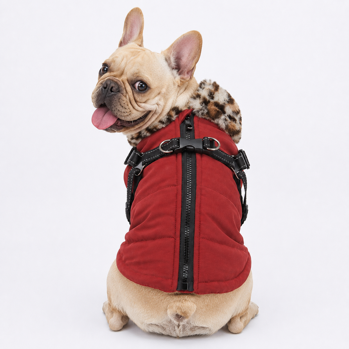 Frenchie-Reflective-Waterproof-Jacket.jpg