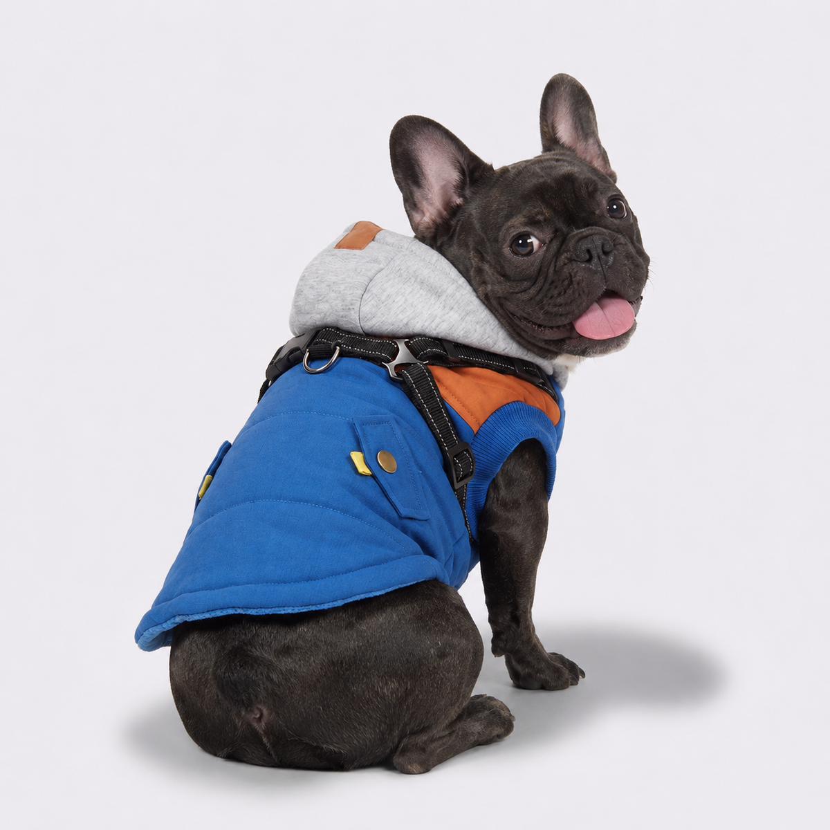 Frenchie-Reflective-Waterproof-Jacket.jpg