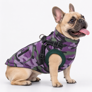 Frenchie-Reflective-Waterproof-Jacket.jpg