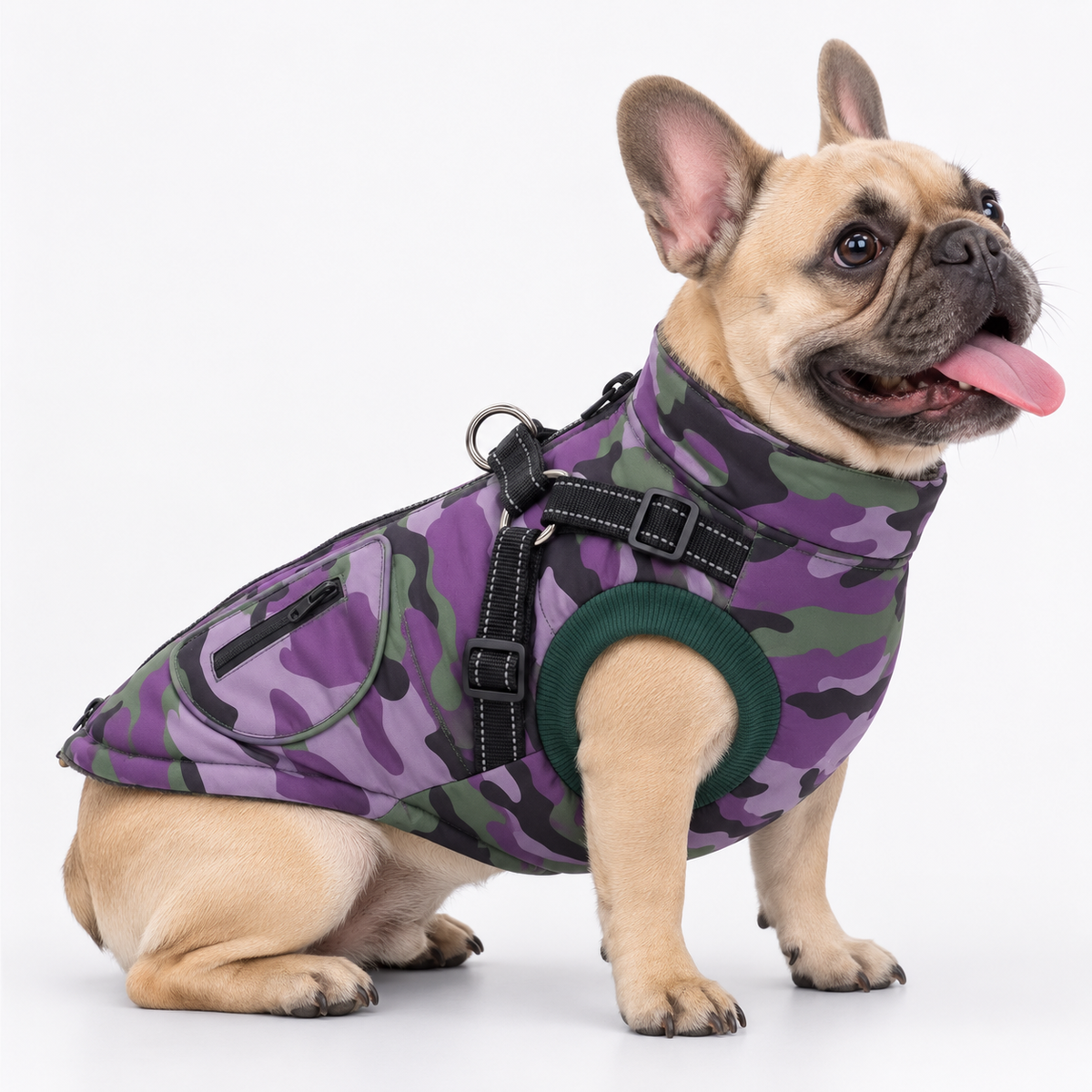 Frenchie-Reflective-Waterproof-Jacket.jpg