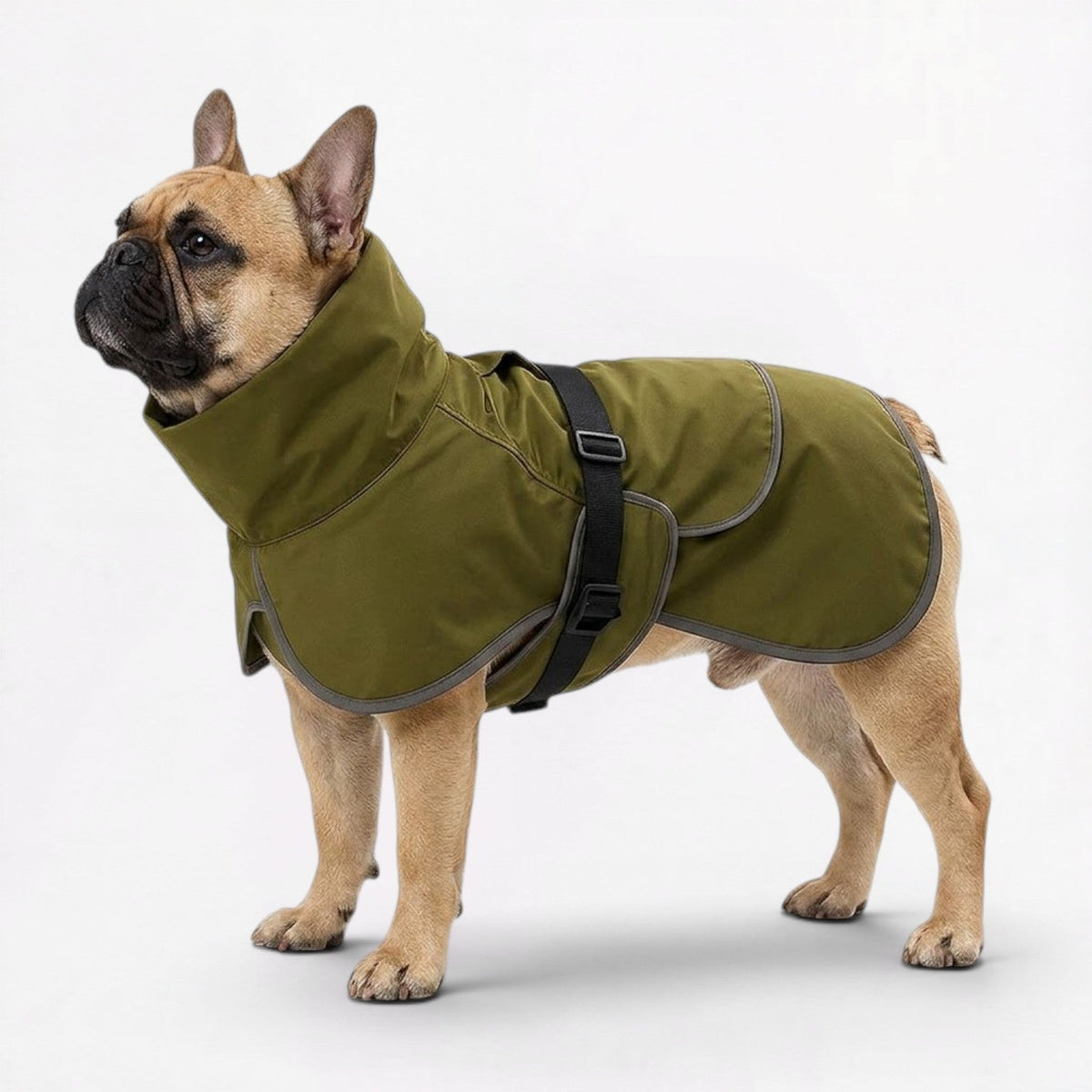 Frenchie-Reflective-Winter-Jacket.jpg