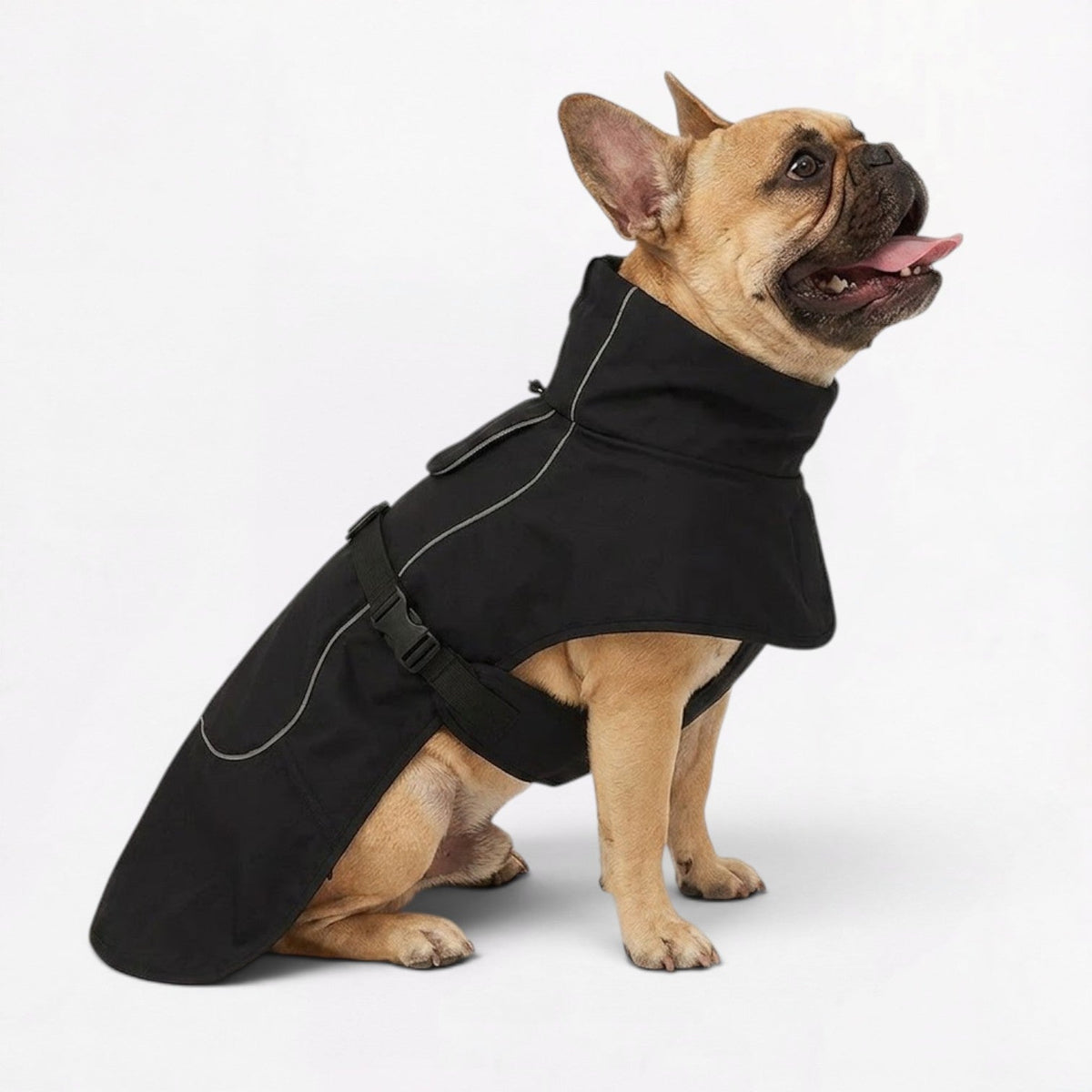 Frenchie-Reflective-Winter-Jacket.jpg