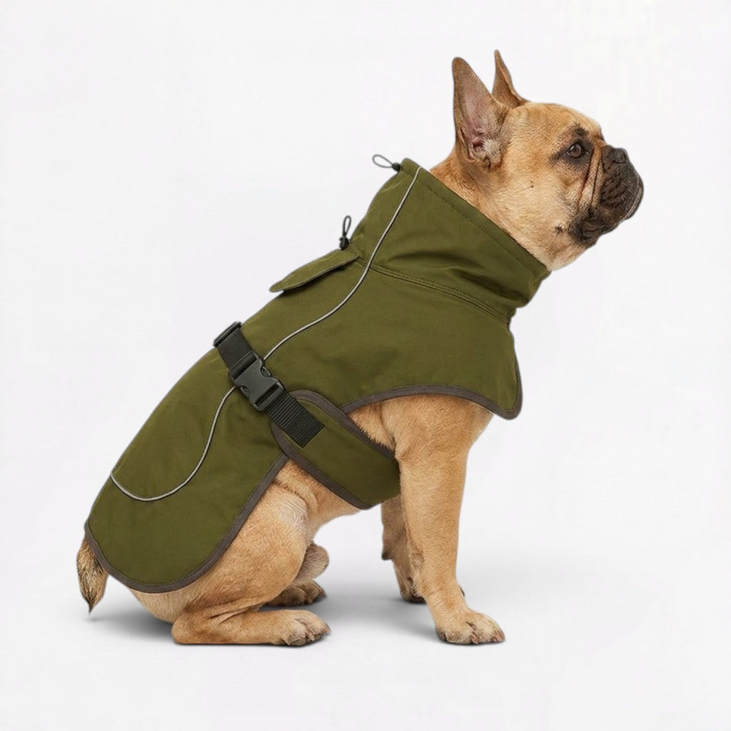 Frenchie-Reflective-Winter-Jacket.jpg