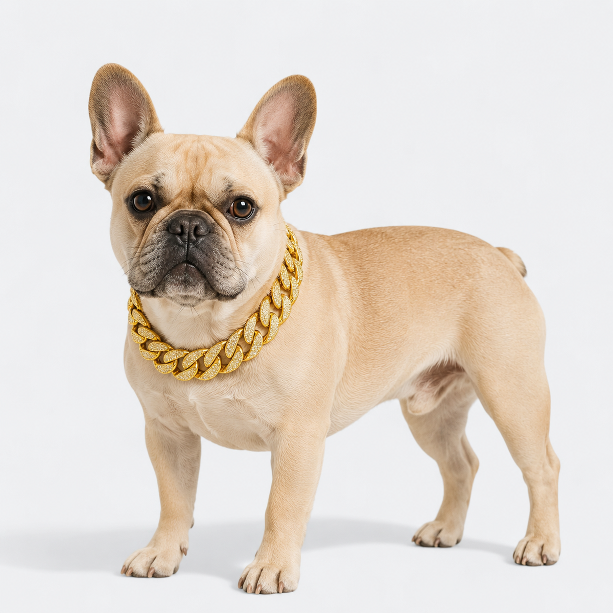 Frenchie-Rhinestone-Cuban-Collar-Necklace.jpg