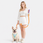 Frenchie-Rope-Leash-Collar-Set.jpg