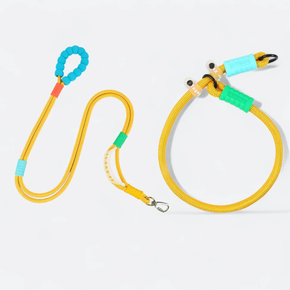 Frenchie-Rope-Leash-Collar-Set.jpg