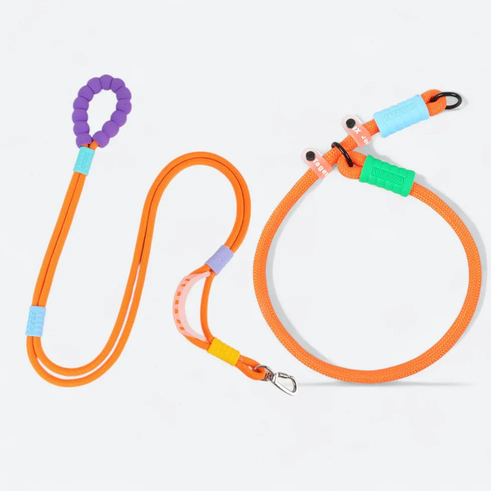 Frenchie-Rope-Leash-Collar-Set.jpg