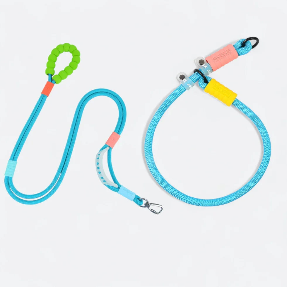 Frenchie-Rope-Leash-Collar-Set.jpg