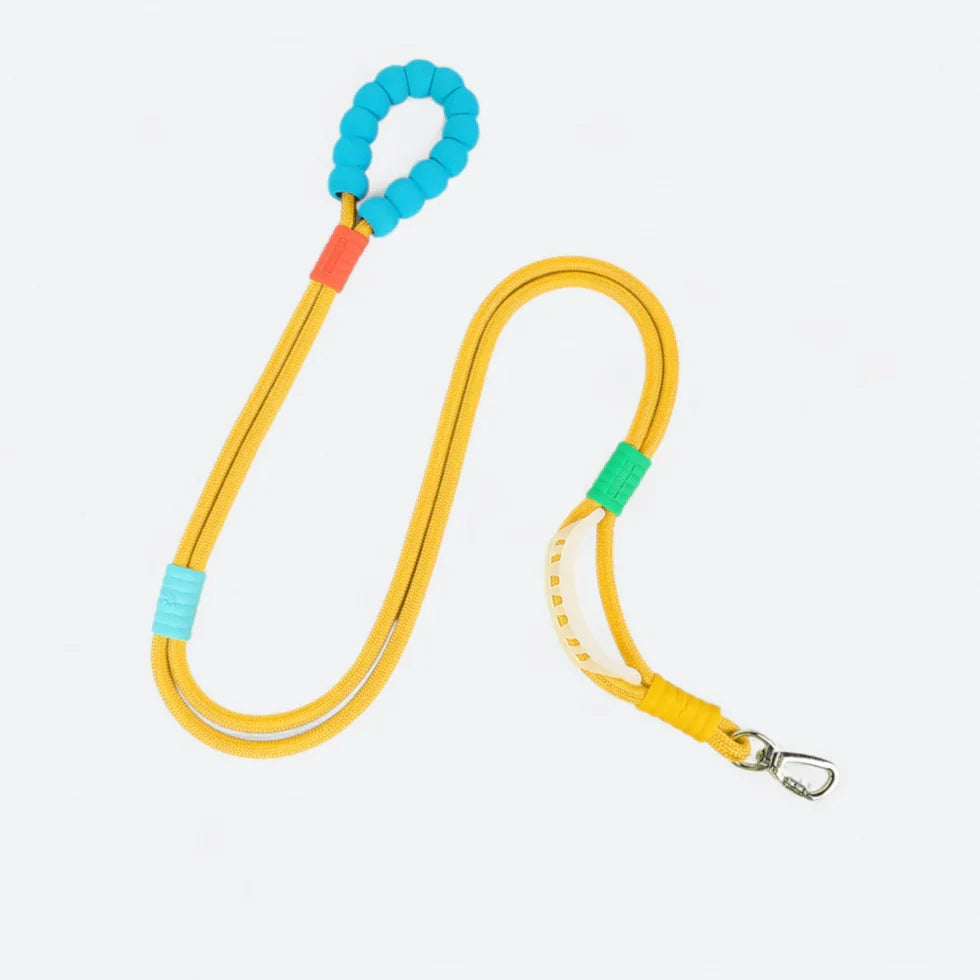 Frenchie-Rope-Leash-Collar-Set.jpg