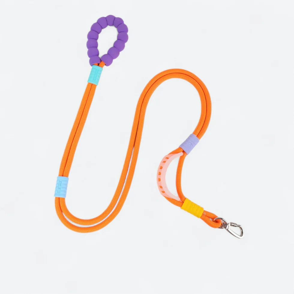 Frenchie-Rope-Leash-Collar-Set.jpg