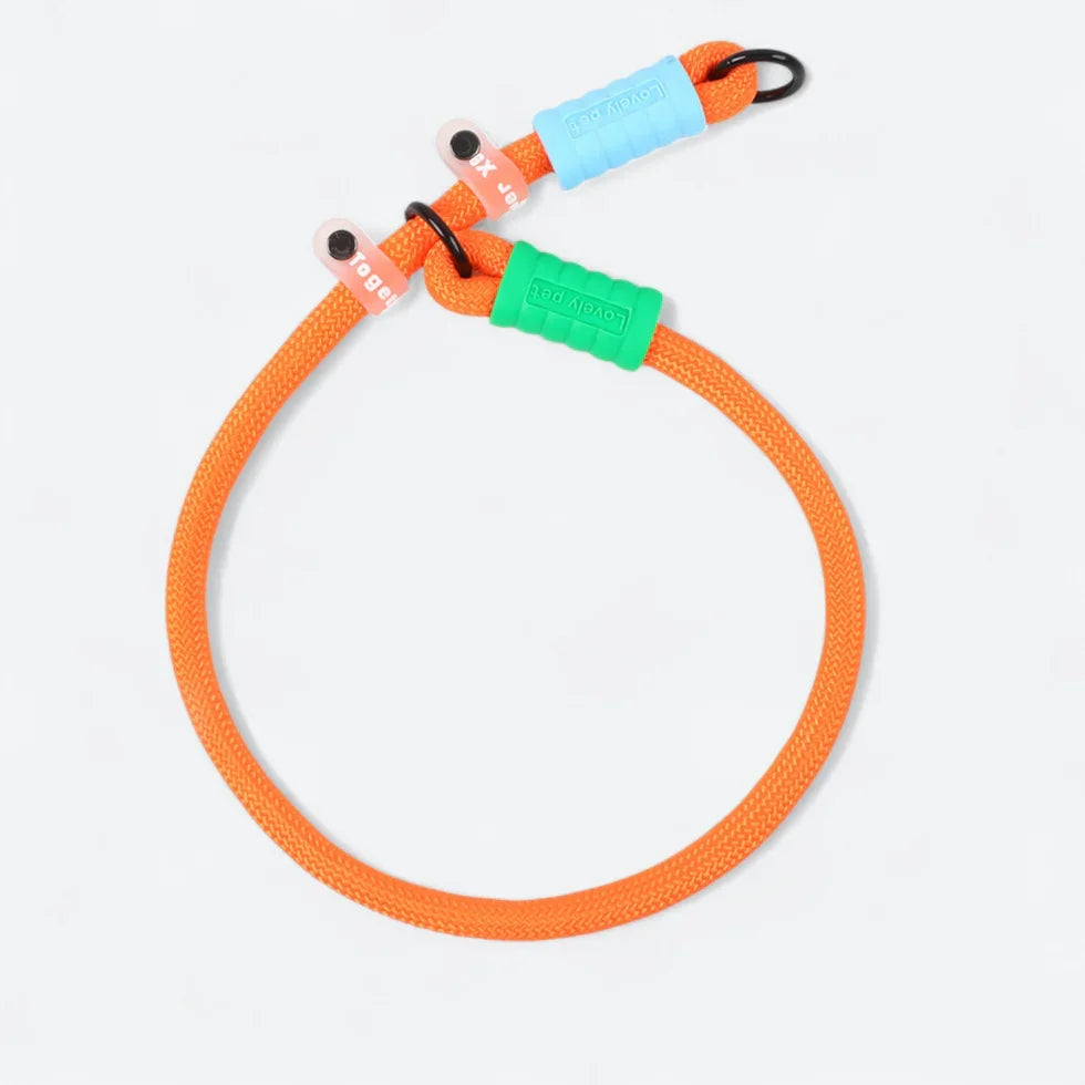 Frenchie-Rope-Leash-Collar-Set.jpg