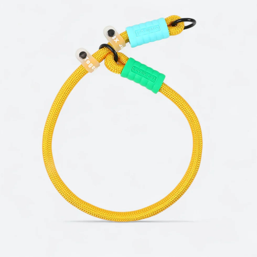 Frenchie-Rope-Leash-Collar-Set.jpg