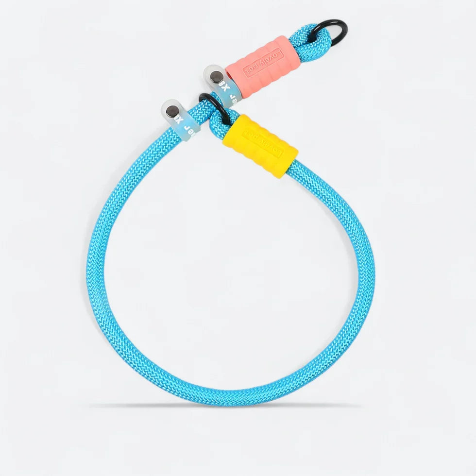 Frenchie-Rope-Leash-Collar-Set.jpg
