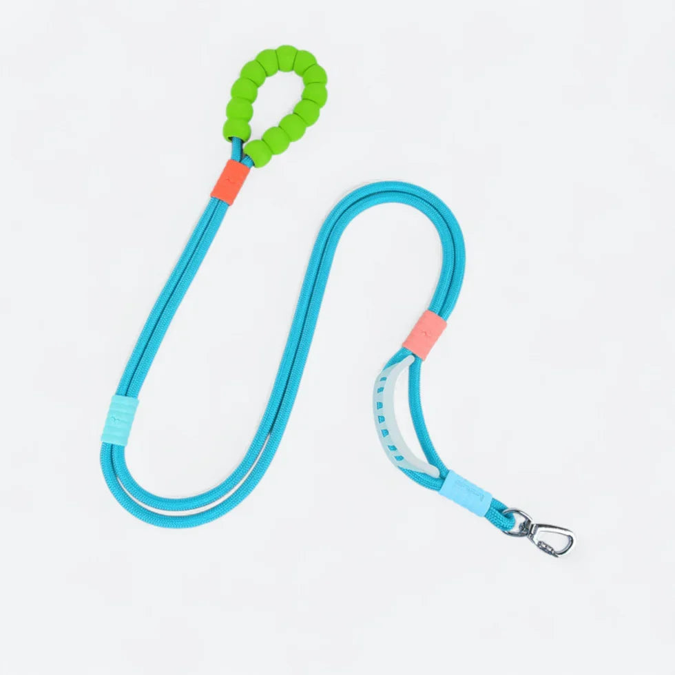 Frenchie-Rope-Leash-Collar-Set.jpg