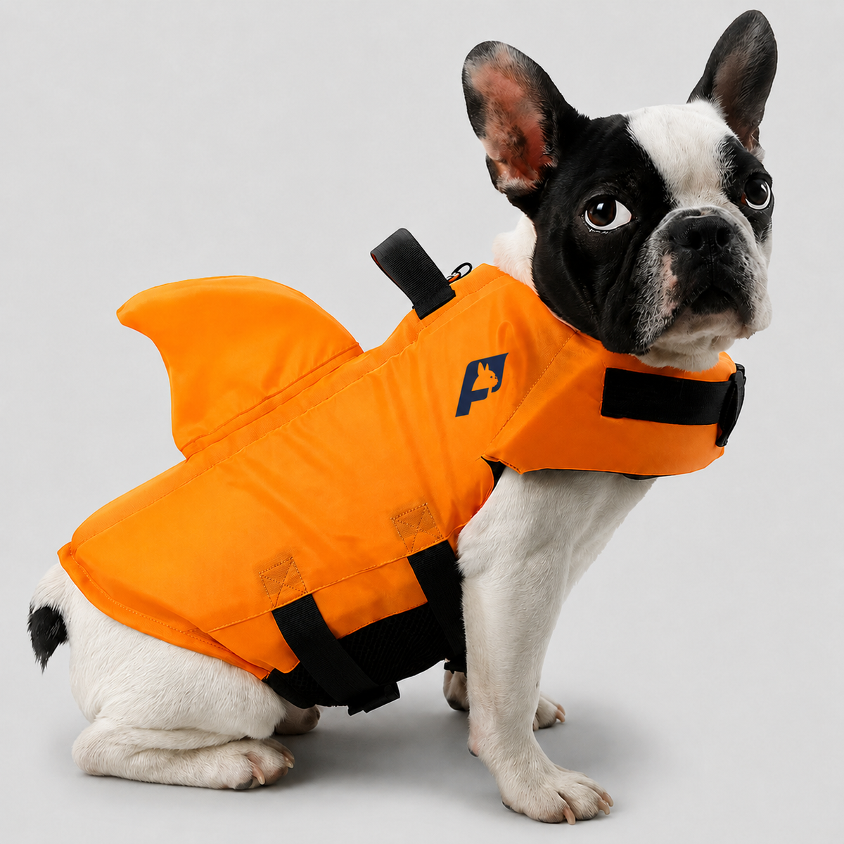 Frenchie-Shark-Life-Vest.jpg