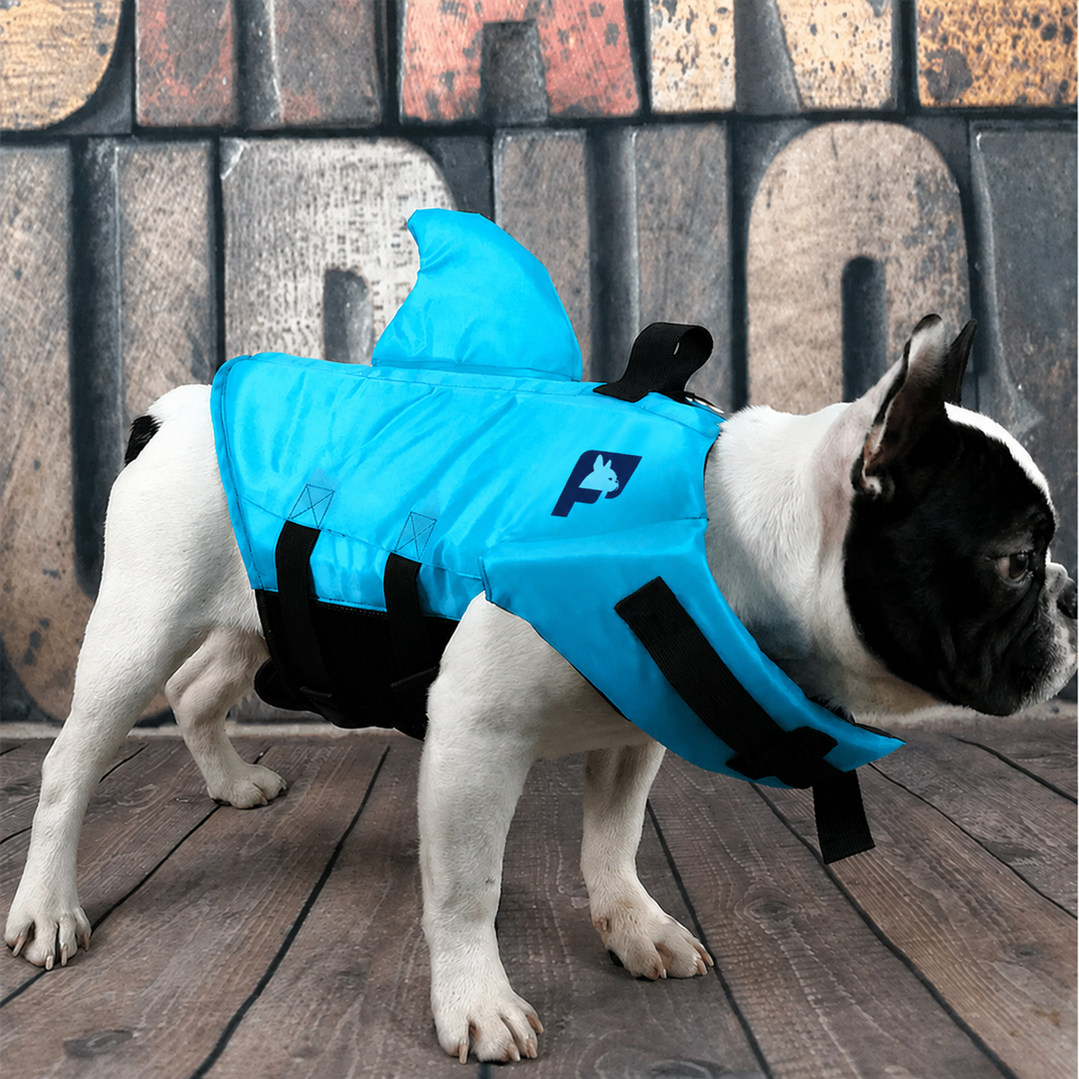 Frenchie-Shark-Life-Vest.jpg