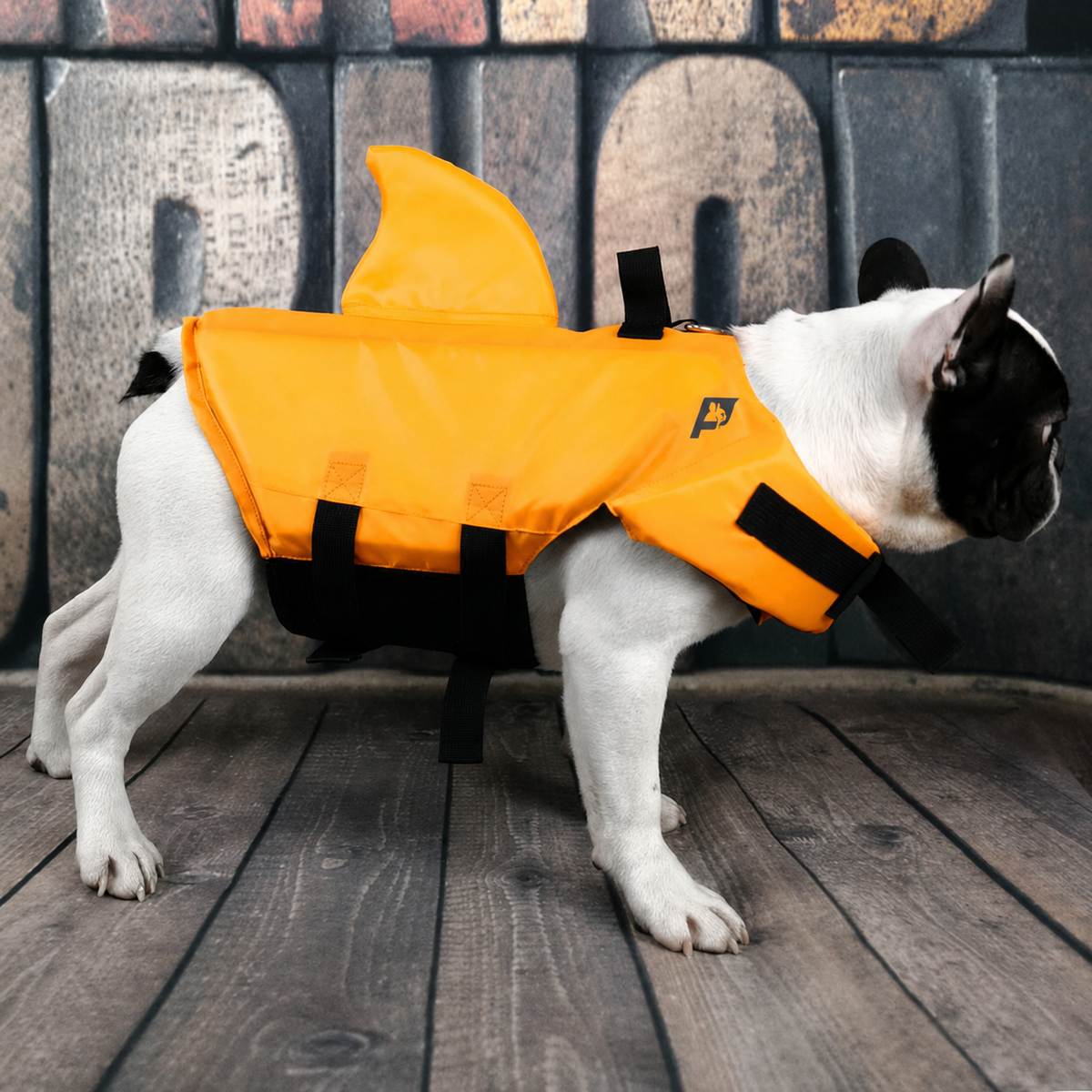 Frenchie-Shark-Life-Vest.jpg