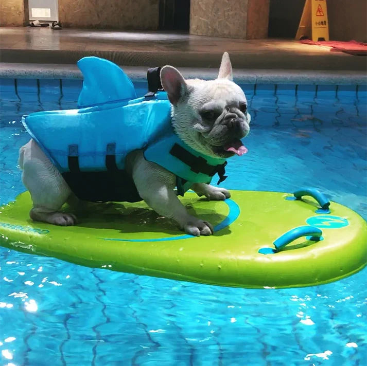 Frenchie-Shark-Life-Vest.jpg