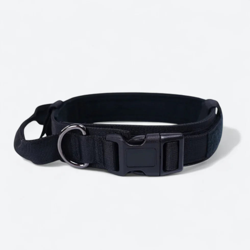 Frenchie-Tactical-Collar-Leash-Set.jpg