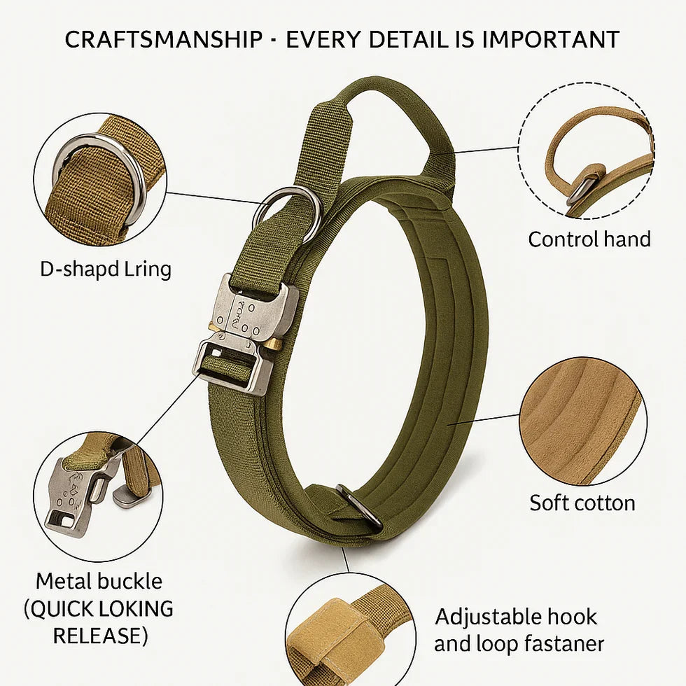 Frenchie-Tactical-Collar-Leash-Set.jpg