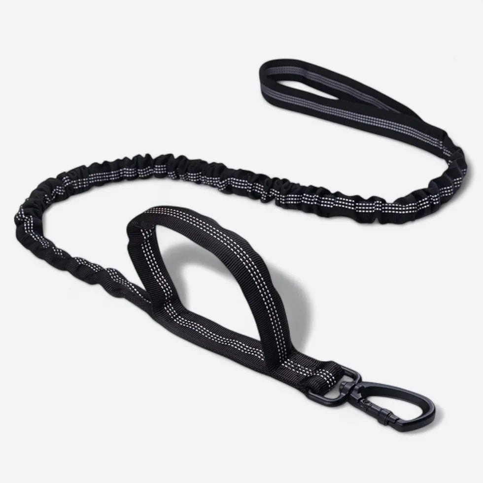 Frenchie-Tactical-Collar-Leash-Set.jpg