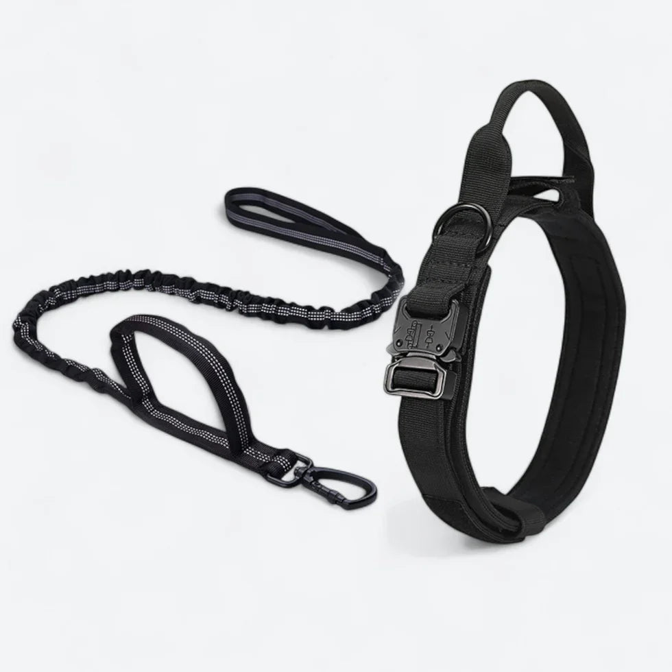 Frenchie-Tactical-Collar-Leash-Set.jpg