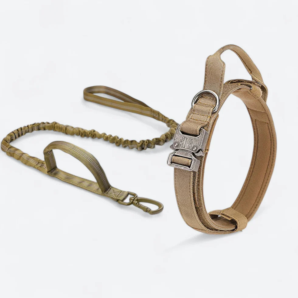 Frenchie-Tactical-Collar-Leash-Set.jpg