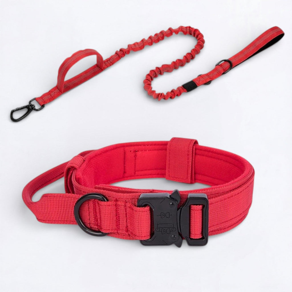 Frenchie-Tactical-Nylon-Collar-Leash-Set.jpg