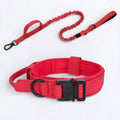 Frenchie-Tactical-Nylon-Collar-Leash-Set.jpg