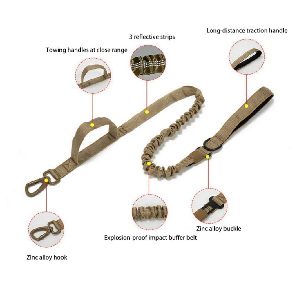 Frenchie-Tactical-Nylon-Collar-Leash-Set.jpg
