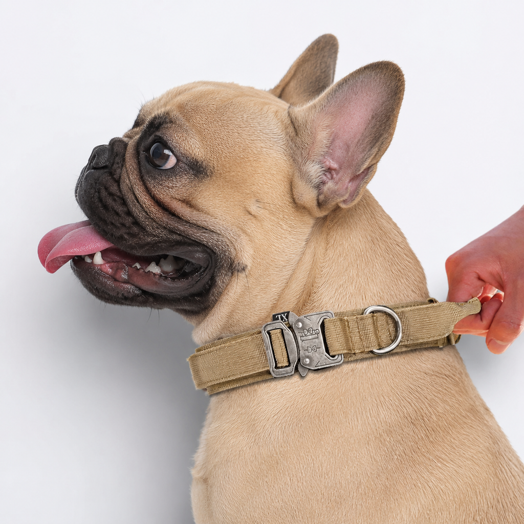 Frenchie-Tactical-Nylon-Collar-Leash-Set.jpg